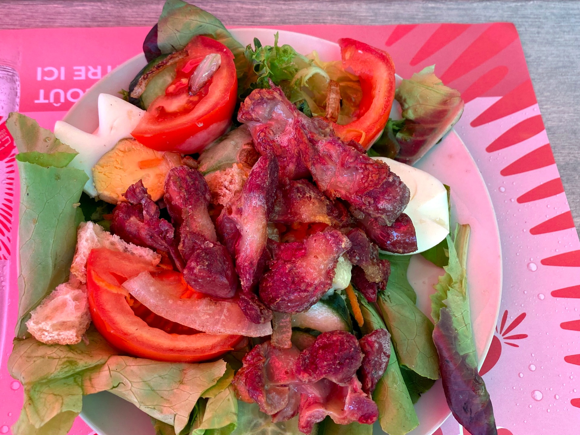 Assiette rose remplie de salade verte, tomates en tranches, morceaux de viande et feuilles de laitue.